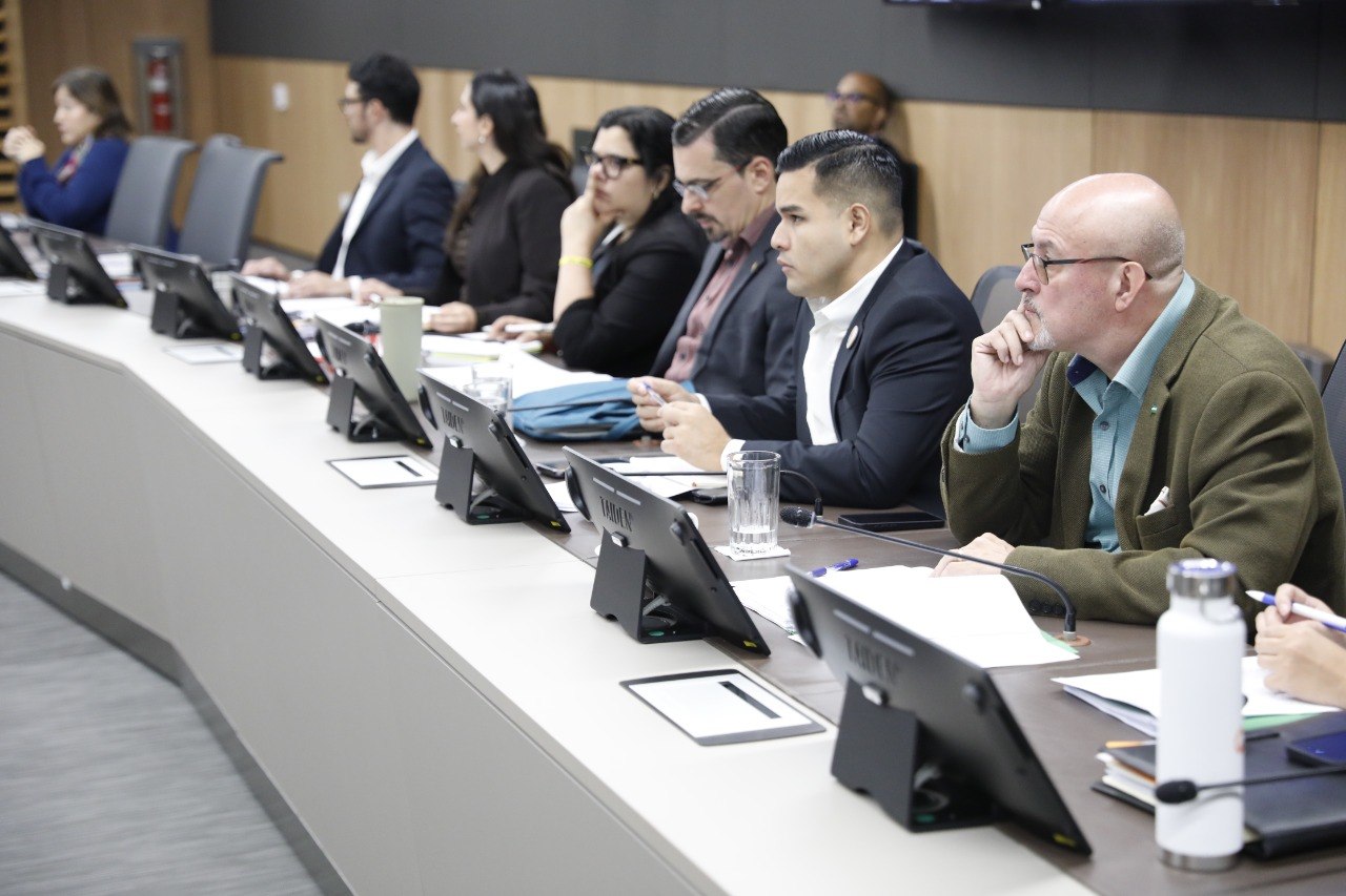 ¿Cuál es la utilidad de un Consejo de Seguridad Nacional? Diputados opinan