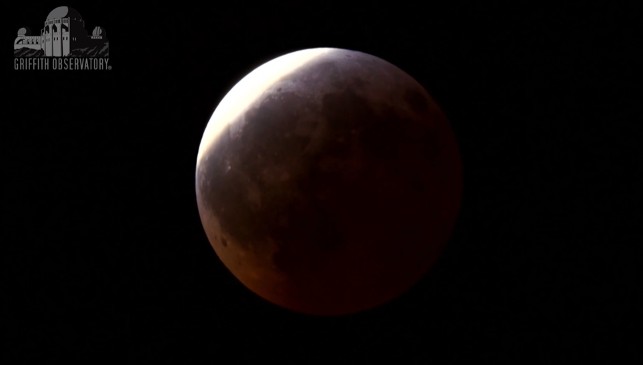 Eclipse lunar en Costa Rica: ¿cómo vivir esta experiencia?
