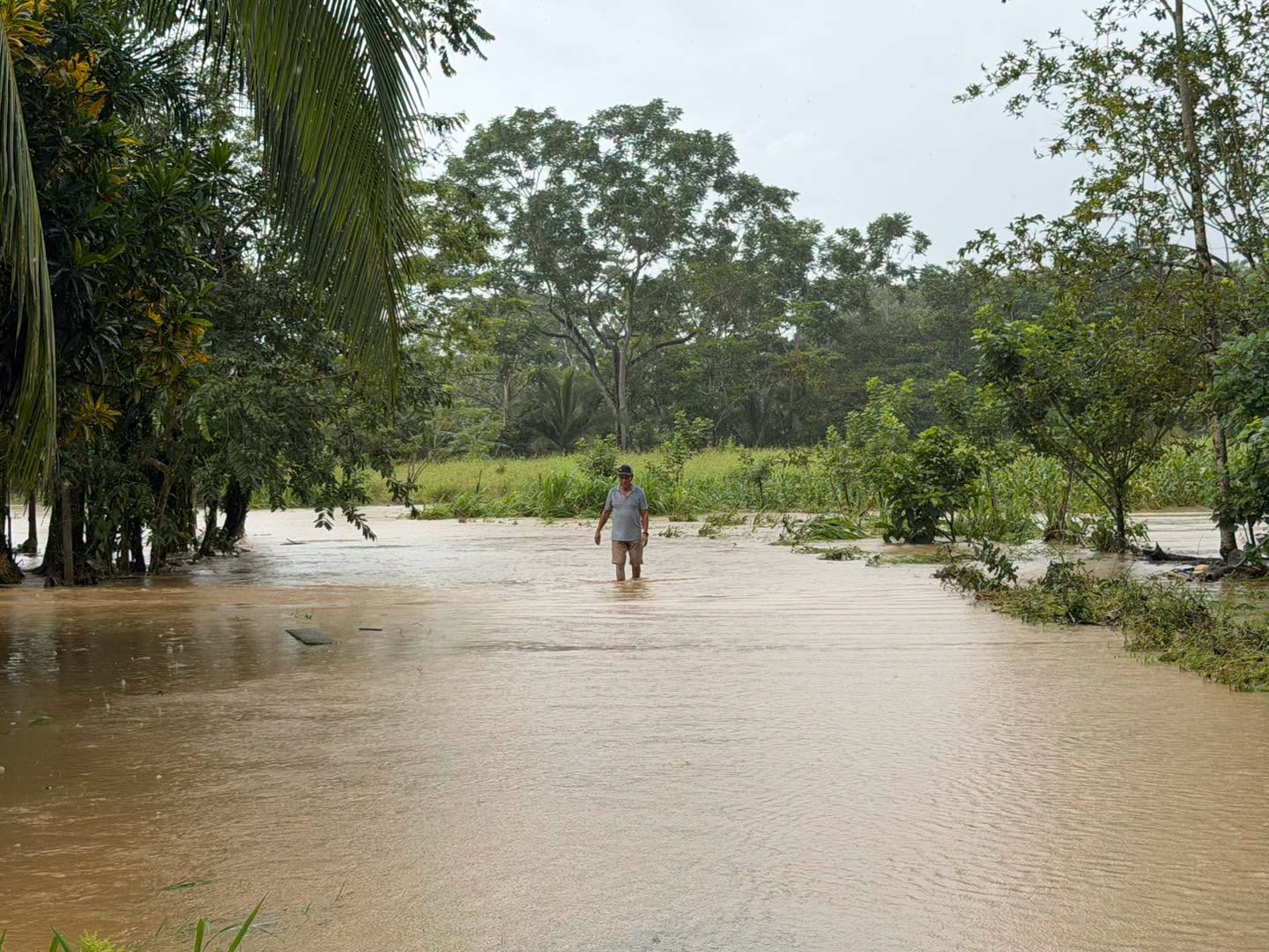 Colecta de víveres y petición de declaratoria de emergencia: las acciones de diputados sobre los incidentes por lluvias