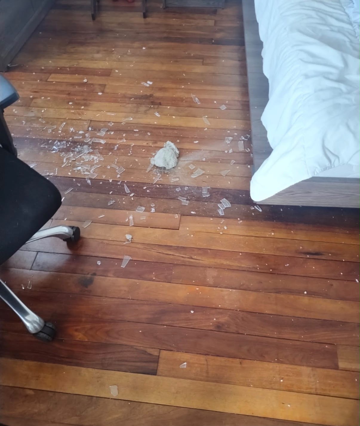 Violencia física, agresiones a viviendas y amenazas directas: lo que sucede en Barrio Escalante